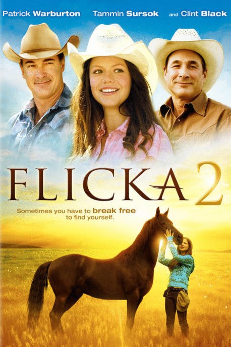 Poster of the movie Flicka 2