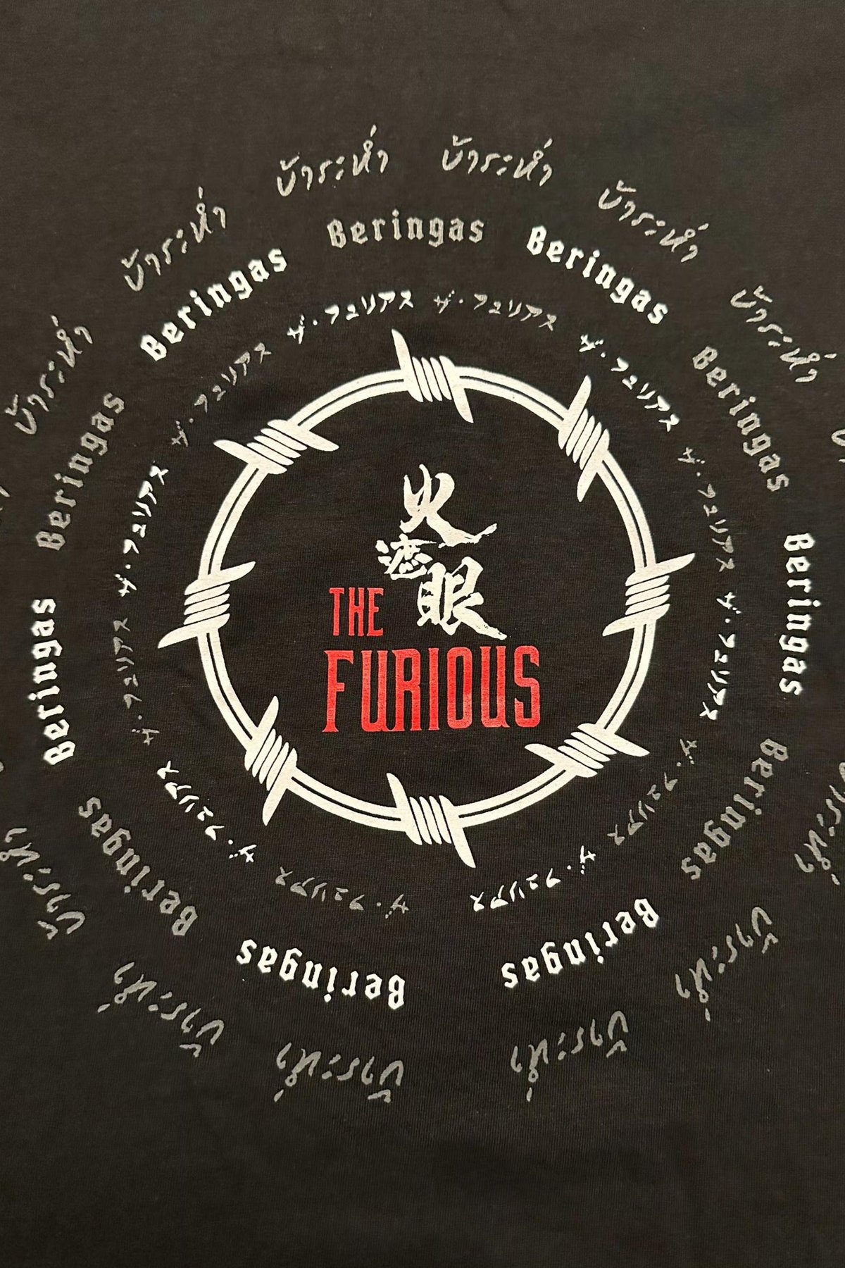 Poster of the movie The Furious