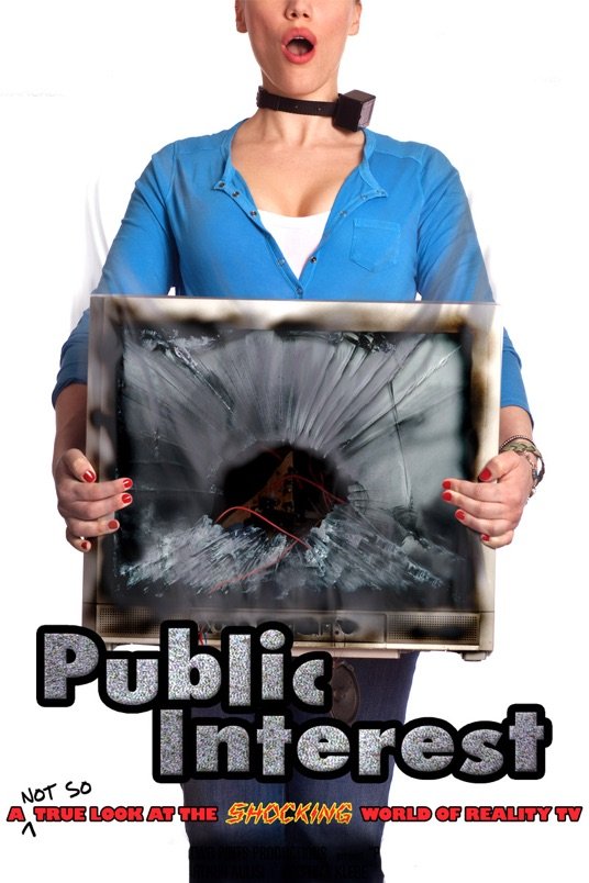 Poster of the movie Public Interest [2008]