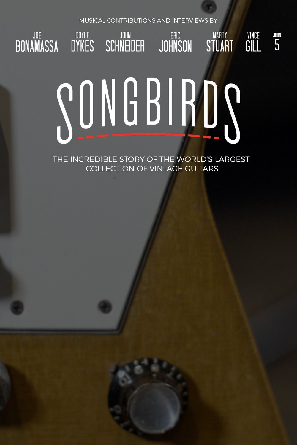 L'affiche du film Songbirds