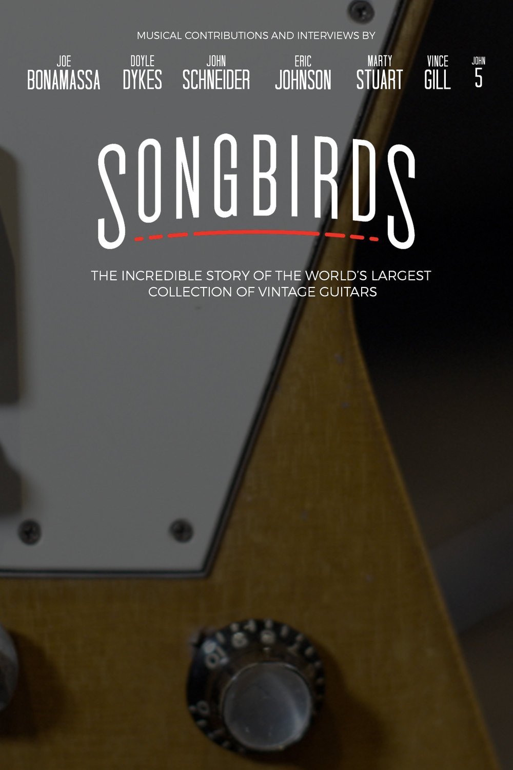 L'affiche du film Songbirds [2022]