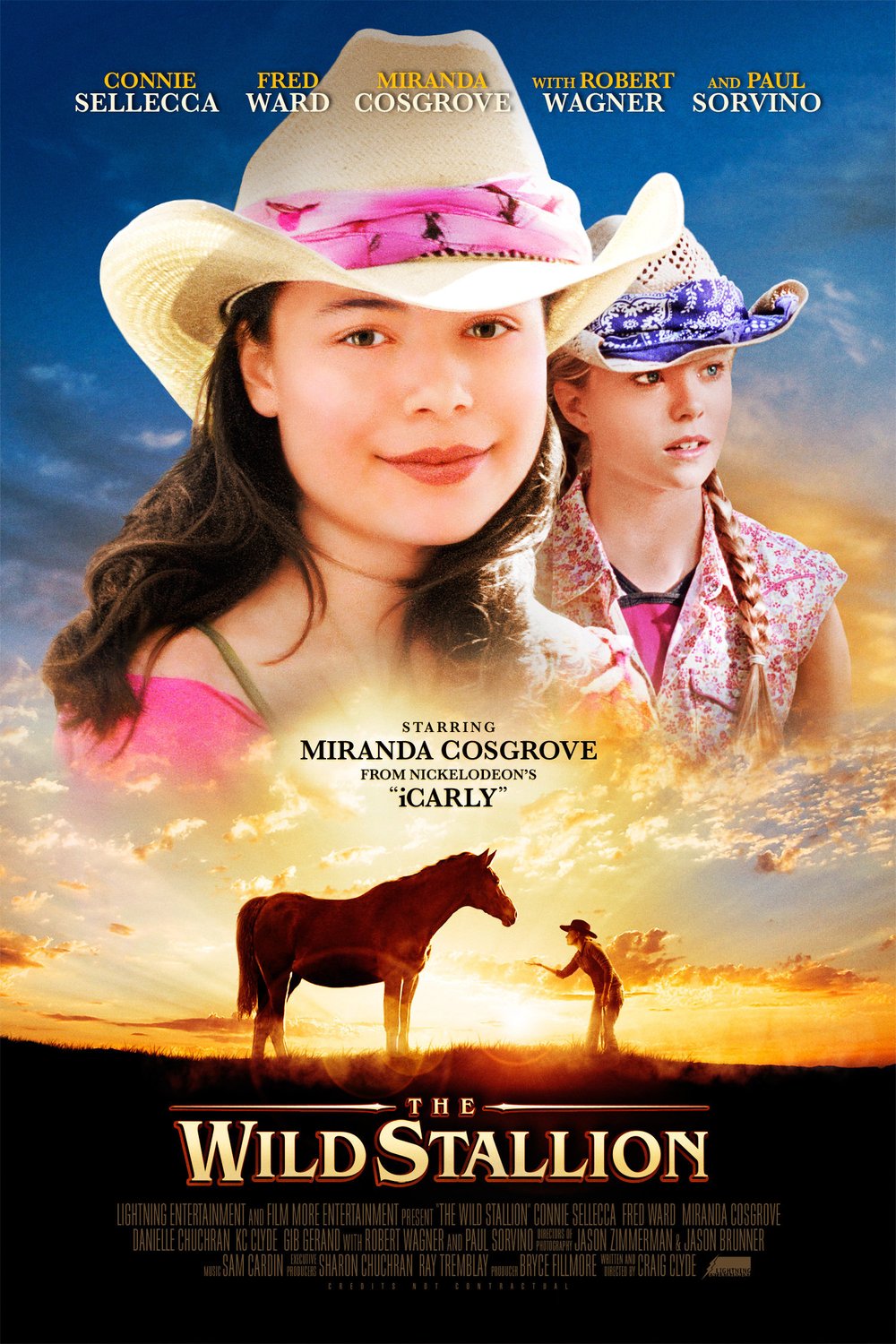 L'affiche du film The Wild Stallion