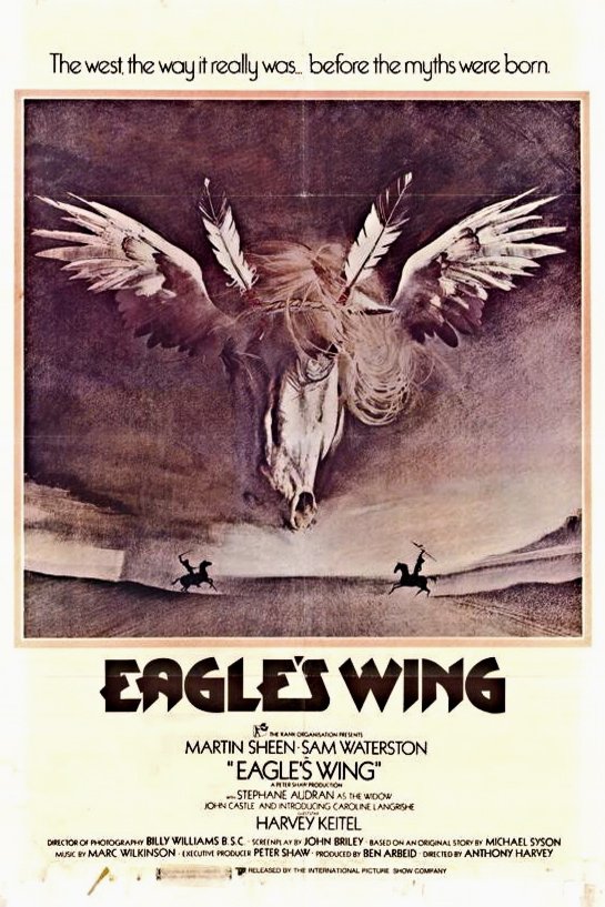 L'affiche du film Eagle's Wing