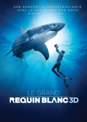 L'affiche du film Le Grand requin blanc