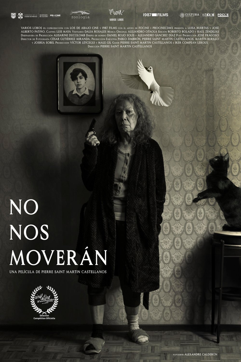 Poster of the movie No nos moverán [2024]