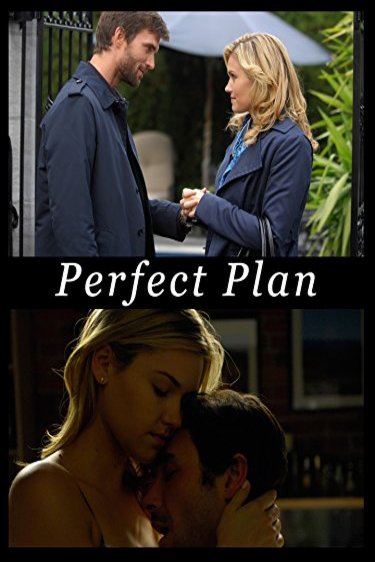 L'affiche du film Perfect Plan