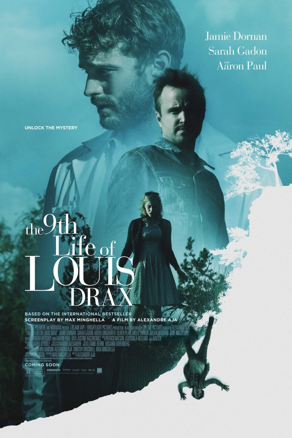 Poster of the movie The 9th Life of Louis Drax