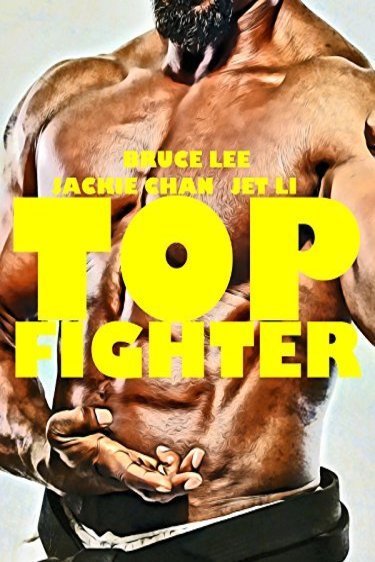 L'affiche du film Top Fighter