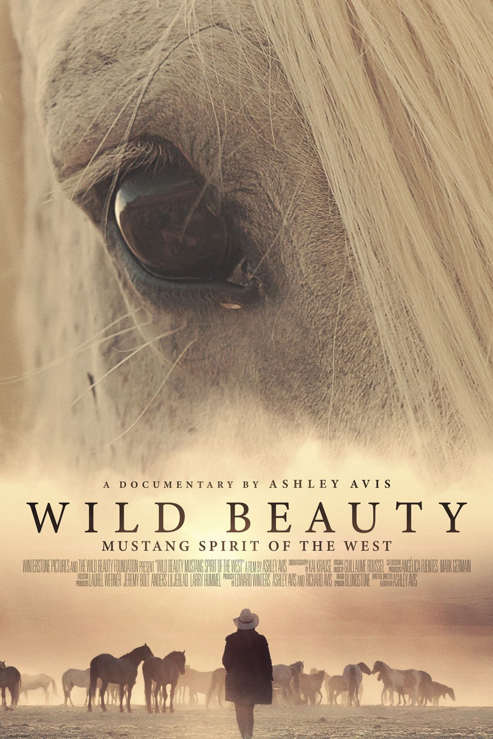 L'affiche du film Wild Beauty: Mustang Spirit of the West [2022]