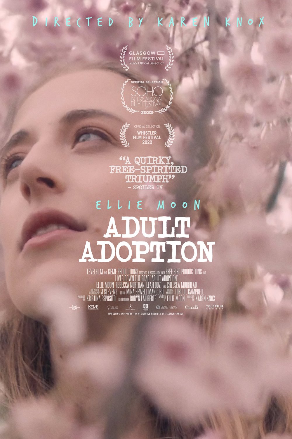 Poster of the movie Adult Adoption