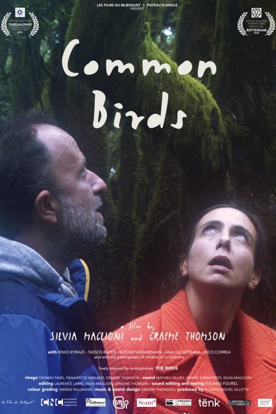 Greek poster of the movie Common Birds