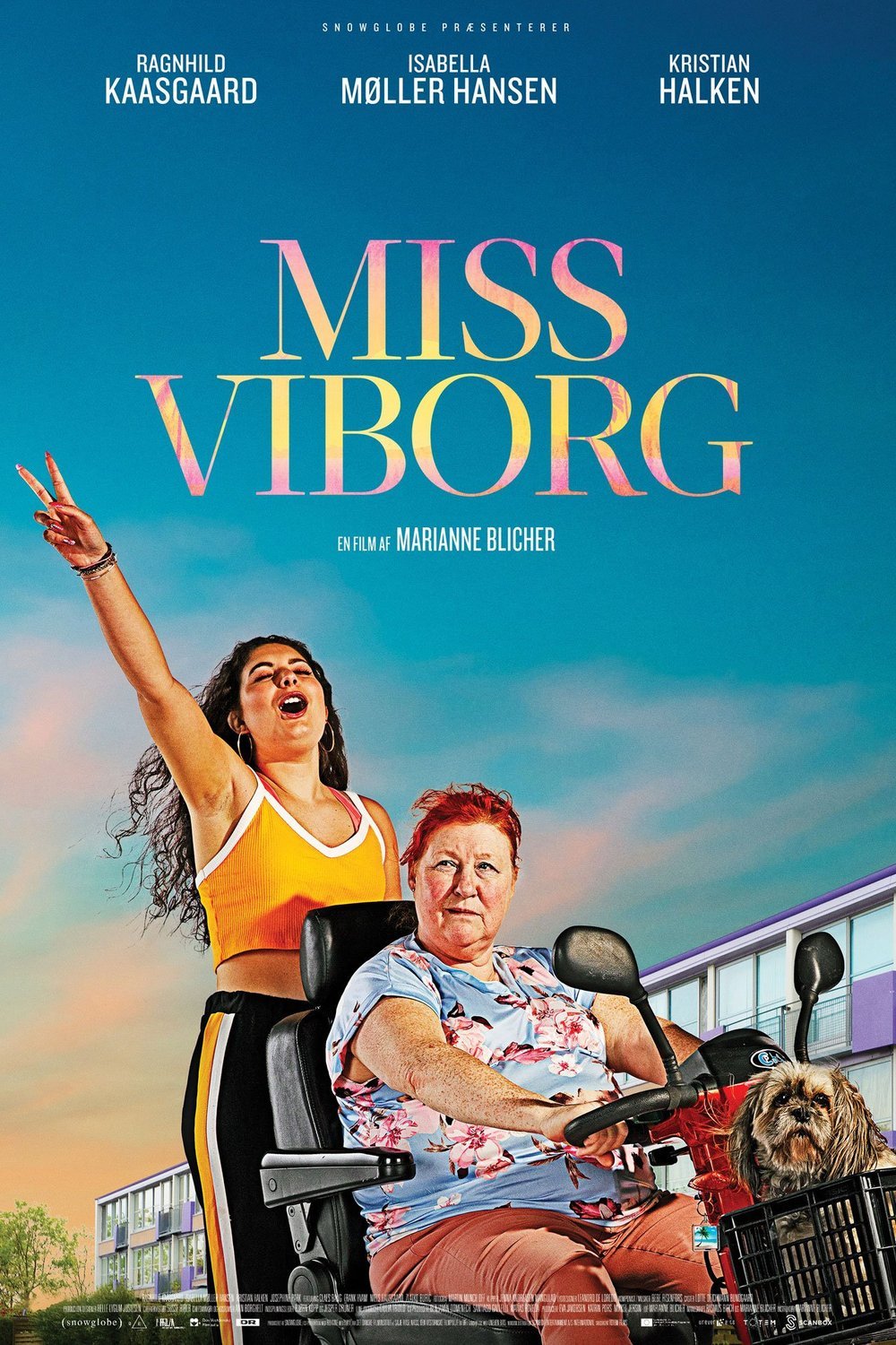 Poster of the movie Miss Viborg