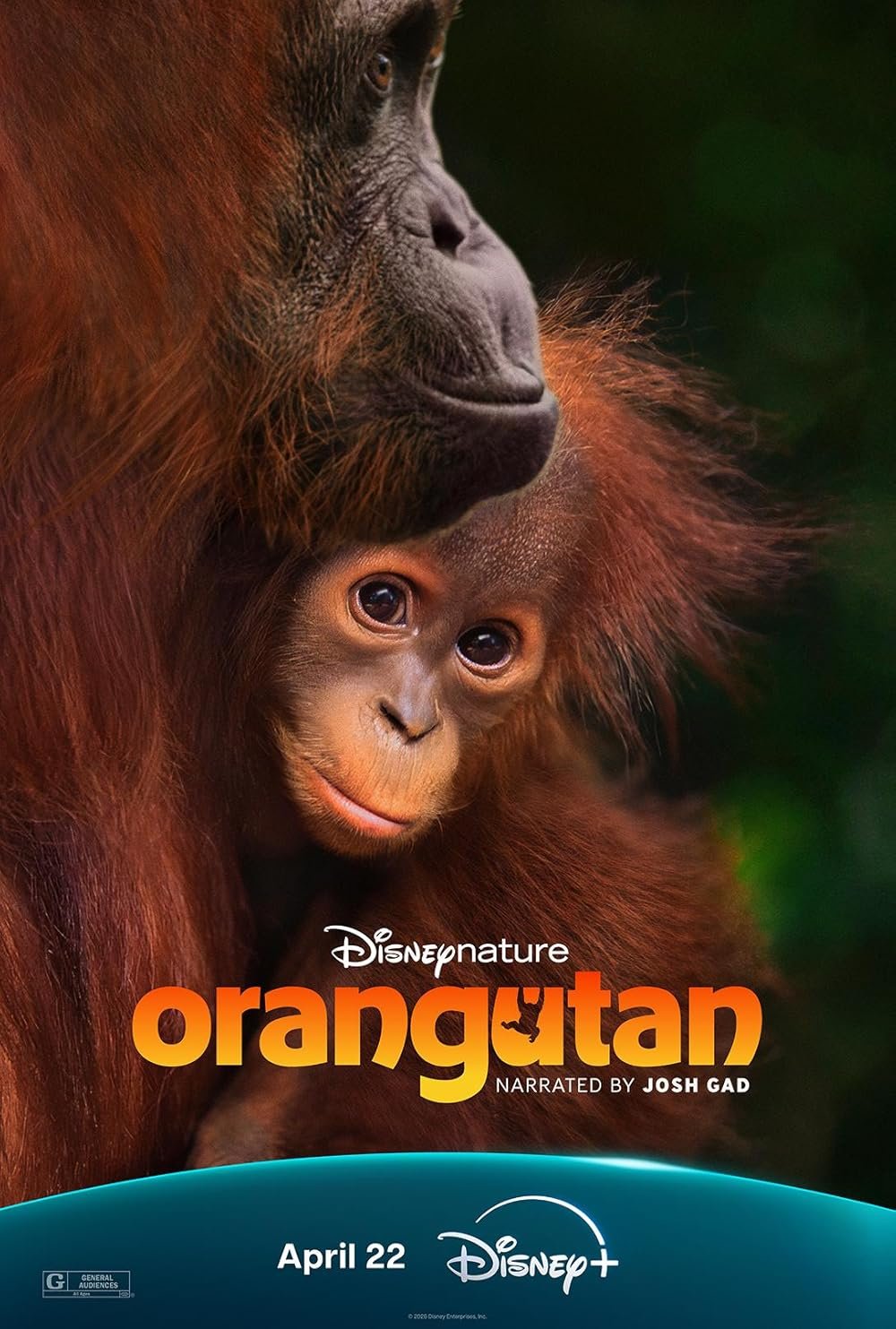 Poster of the movie Orangutan [2026]