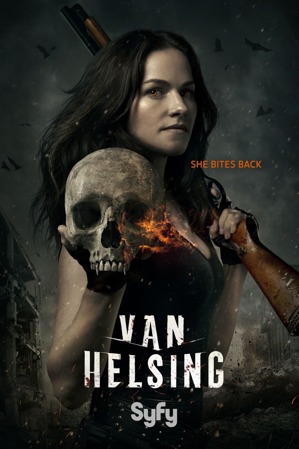 Poster of the movie Van Helsing