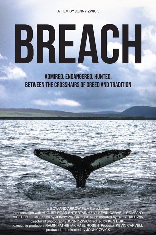 L'affiche du film Breach