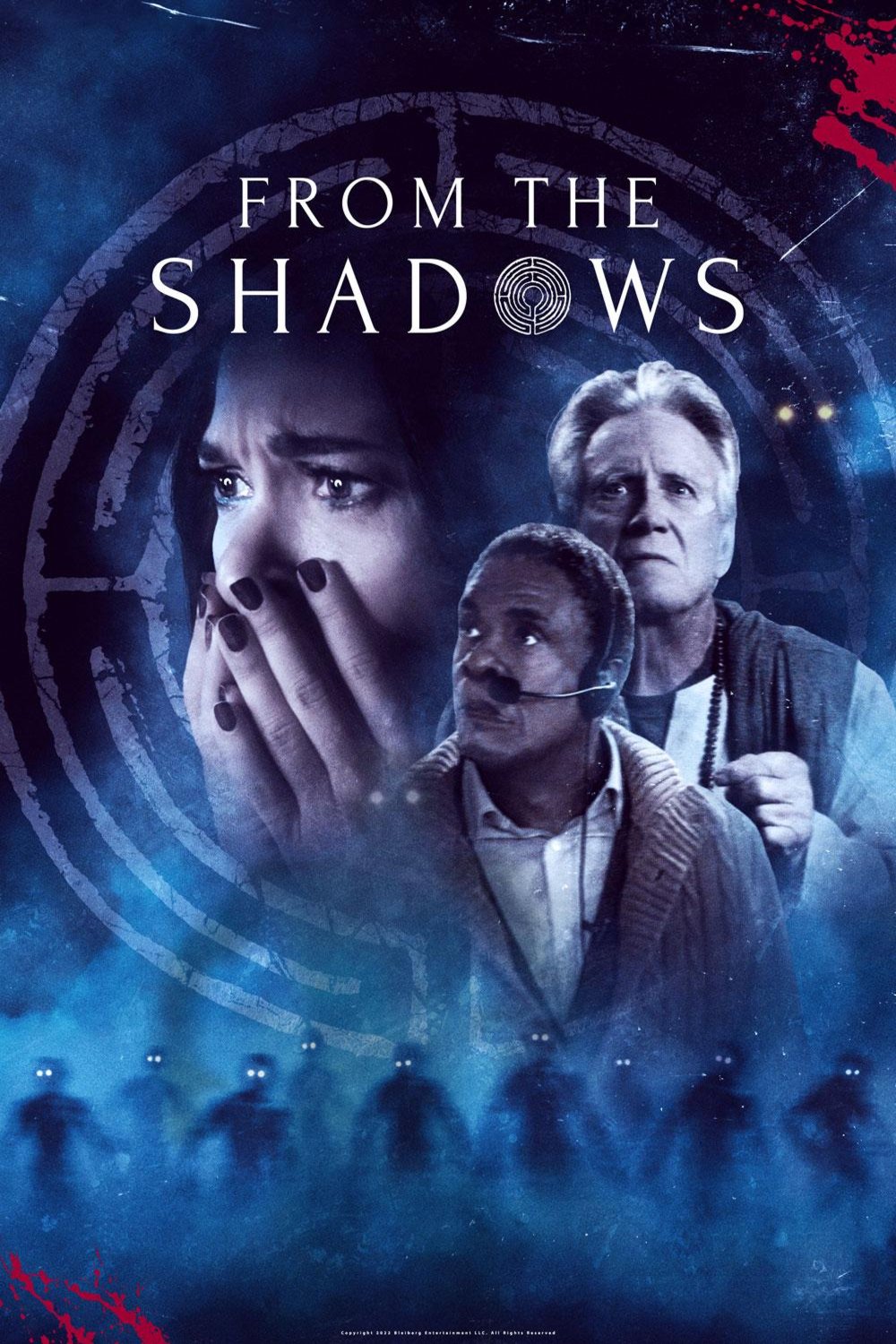 L'affiche du film From the Shadows