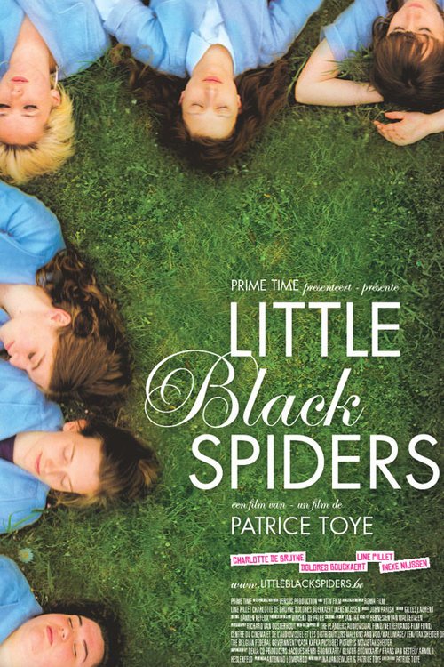 Poster of the movie Little Black Spiders [2012]