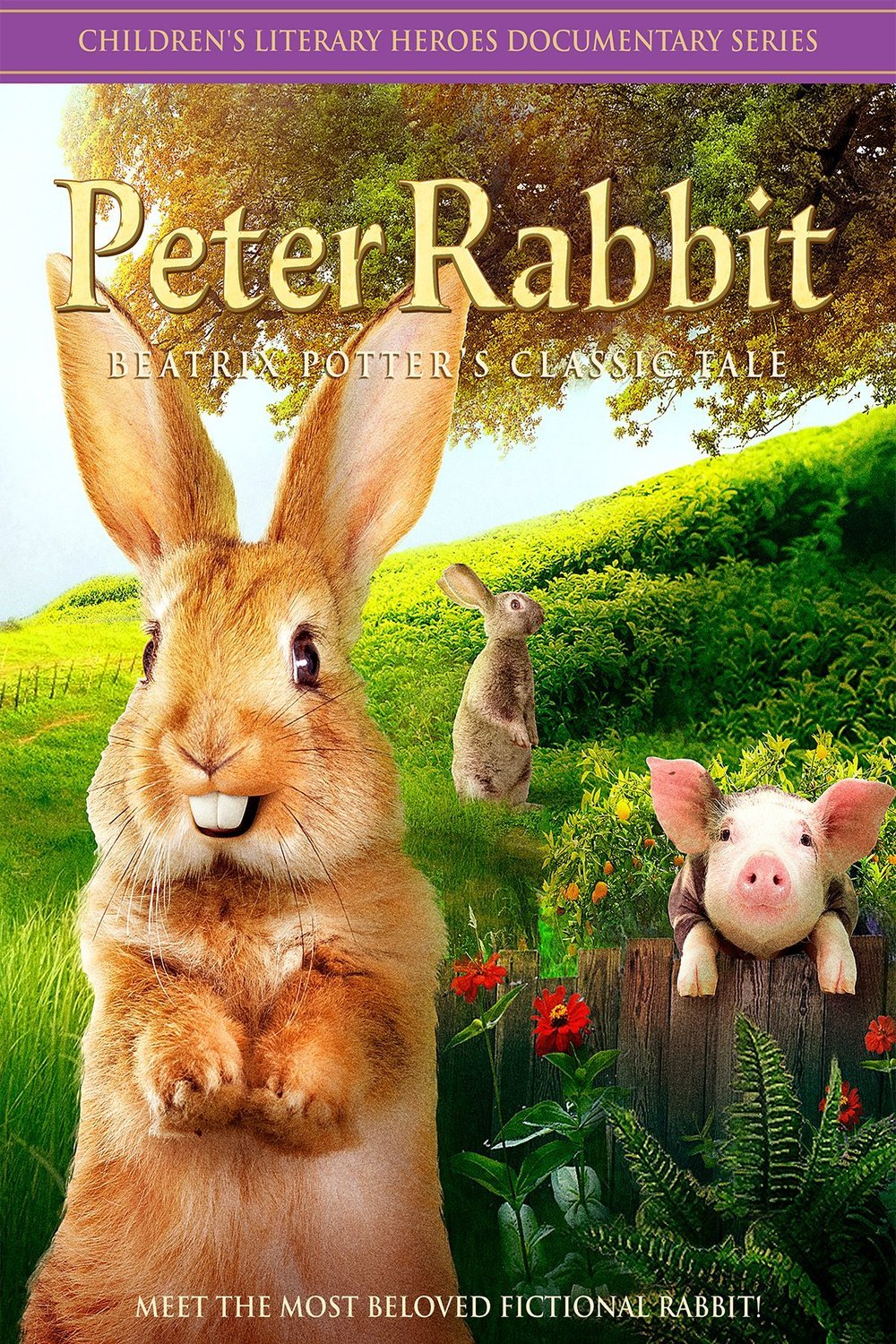 L'affiche du film Peter Rabbit