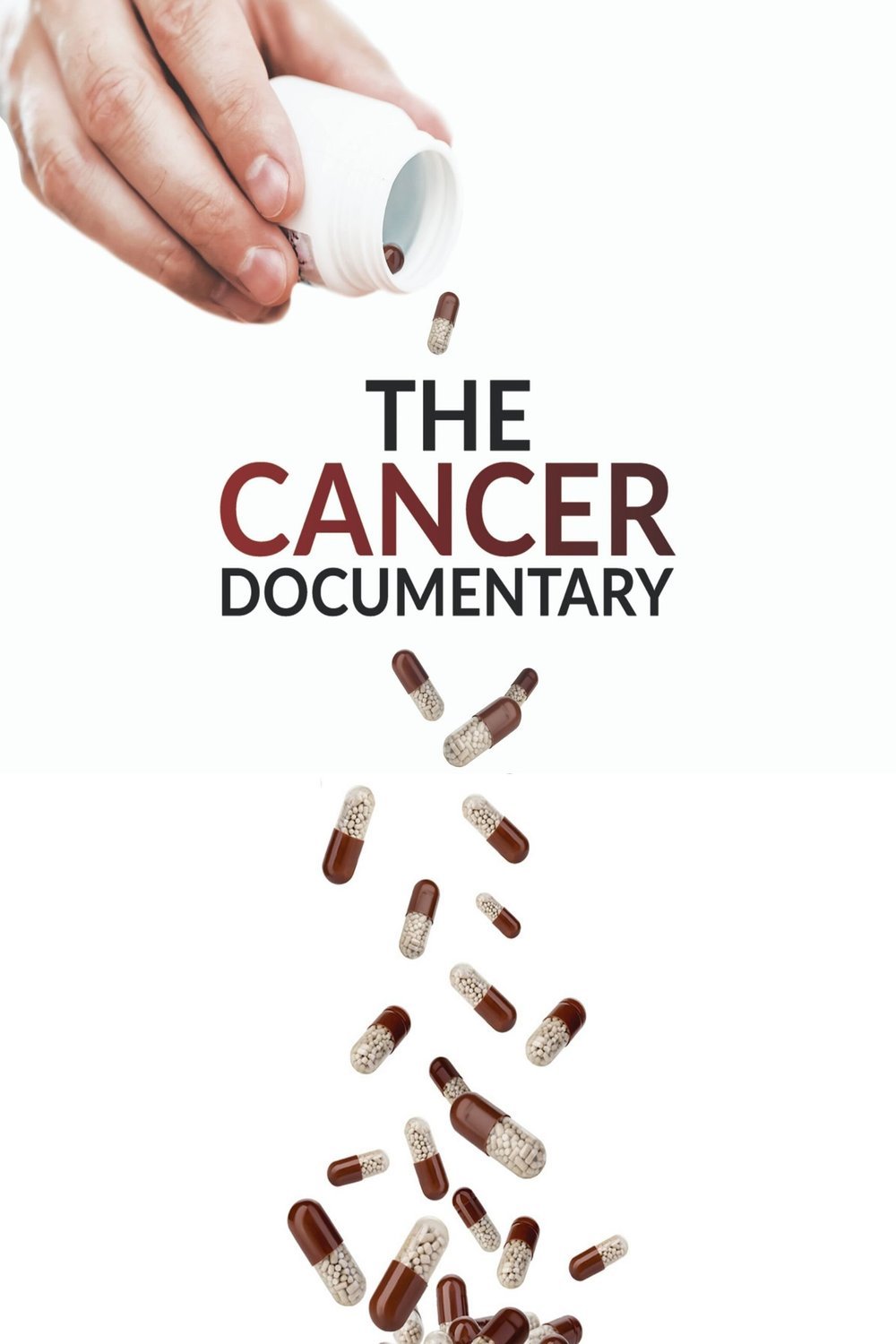 Poster of the movie The Cancer Documentary