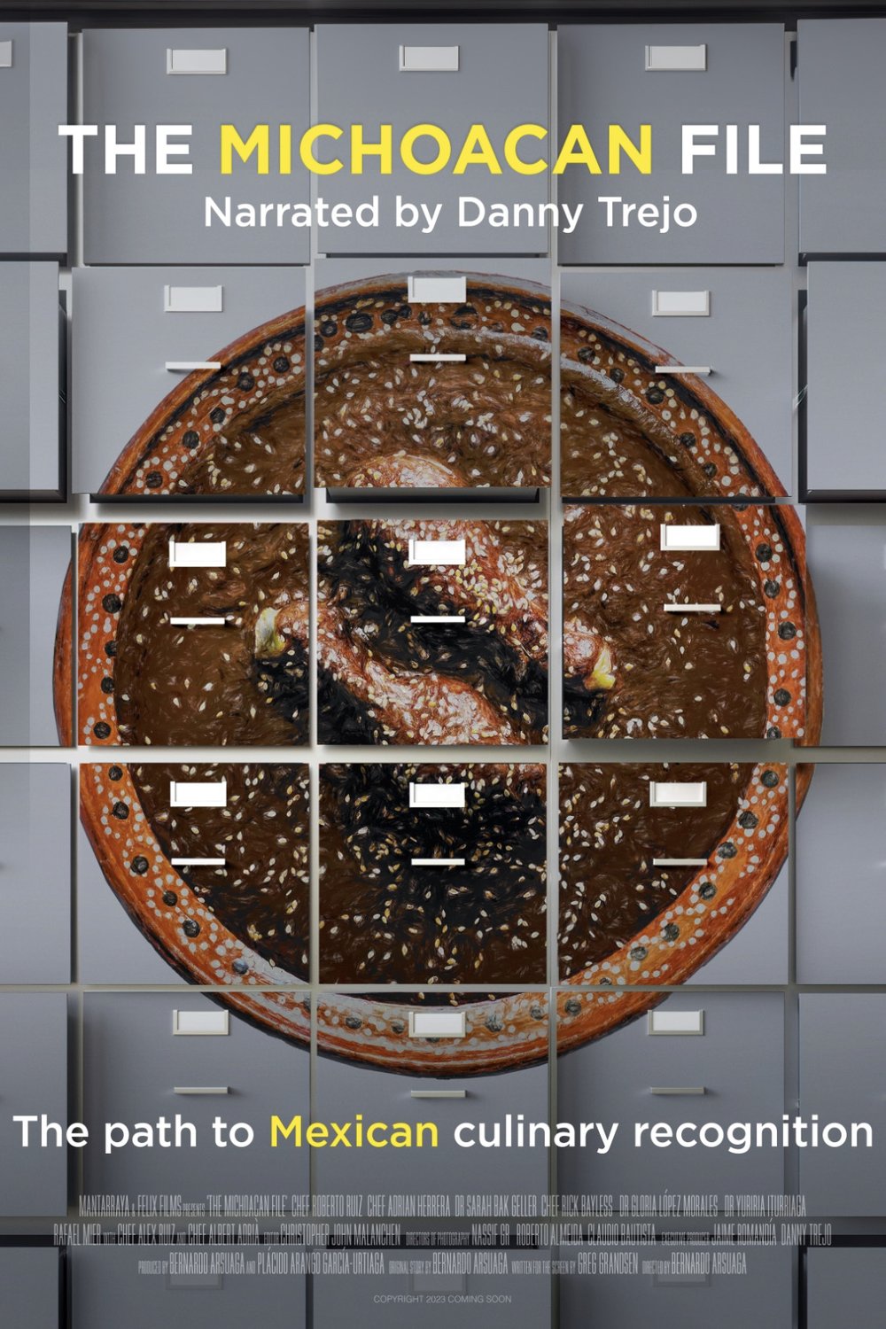 L'affiche du film The Michoacan File [2023]