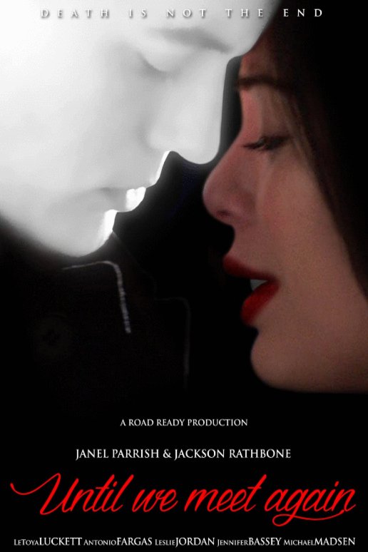 Poster of the movie Until We Meet Again