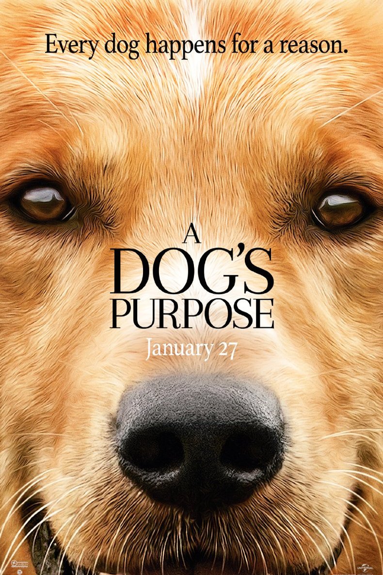 Poster of the movie A Dog's Purpose