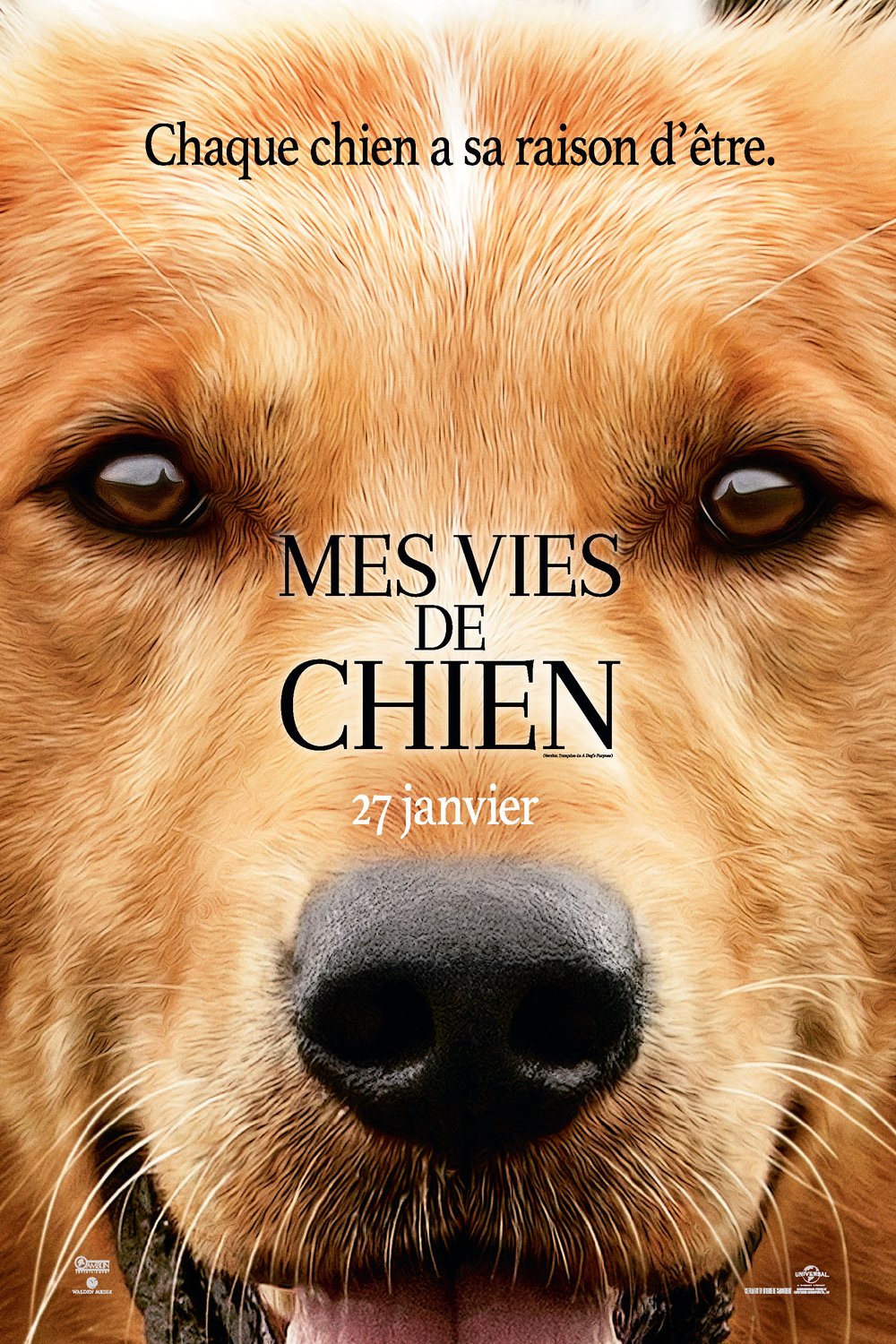 Poster of the movie Mes vies de chien