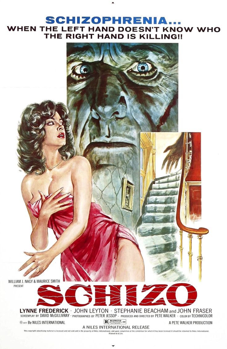 L'affiche du film Schizo