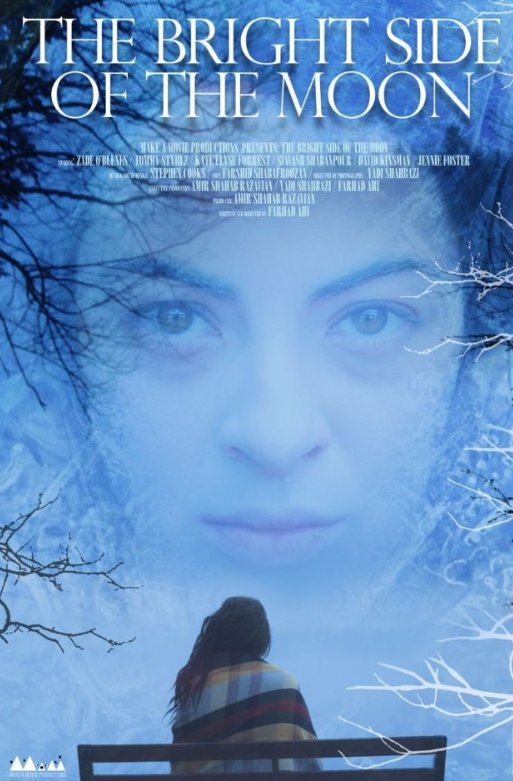 Poster of the movie The Bright Side of the Moon [2011]