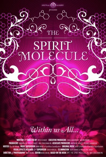 L'affiche du film The Spirit Molecule [2010]