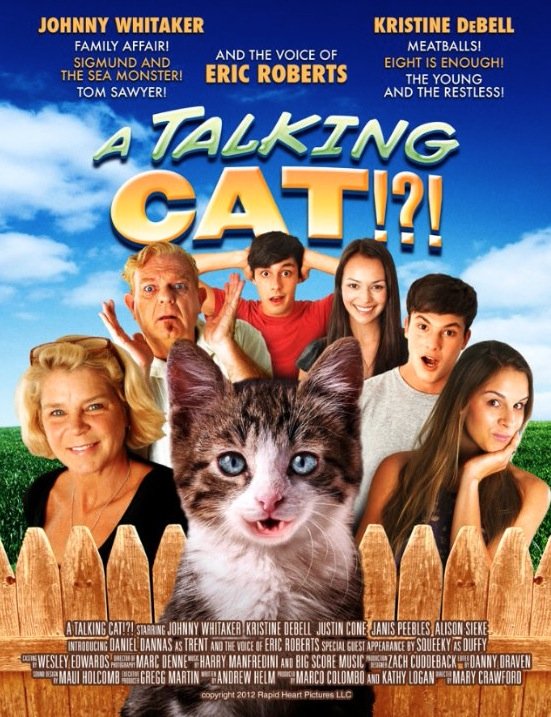 L'affiche du film A Talking Cat!?!