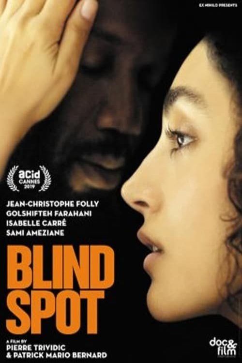 Poster of the movie Blind Spot