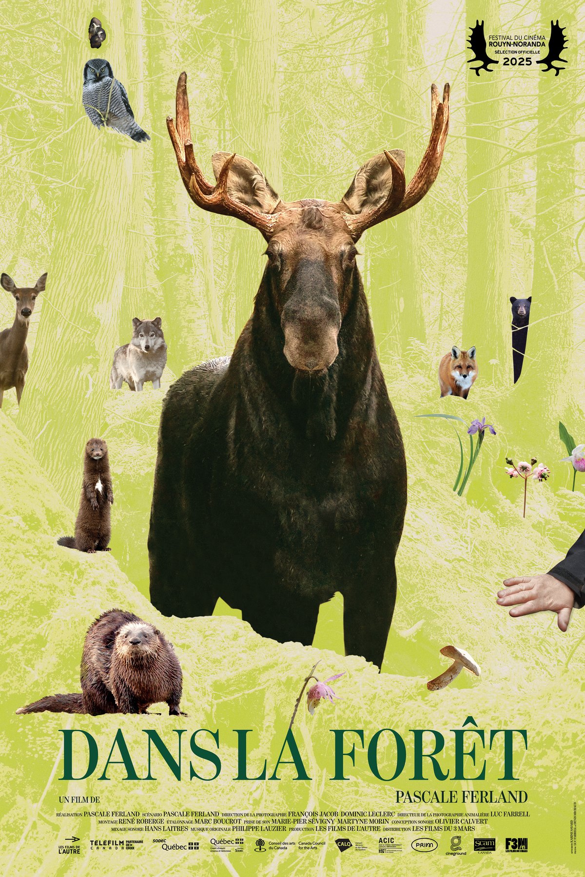 Poster of the movie Dans la forêt