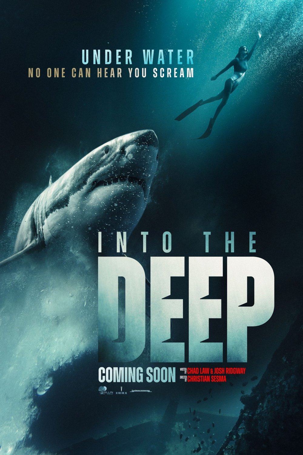L'affiche du film Into the Deep