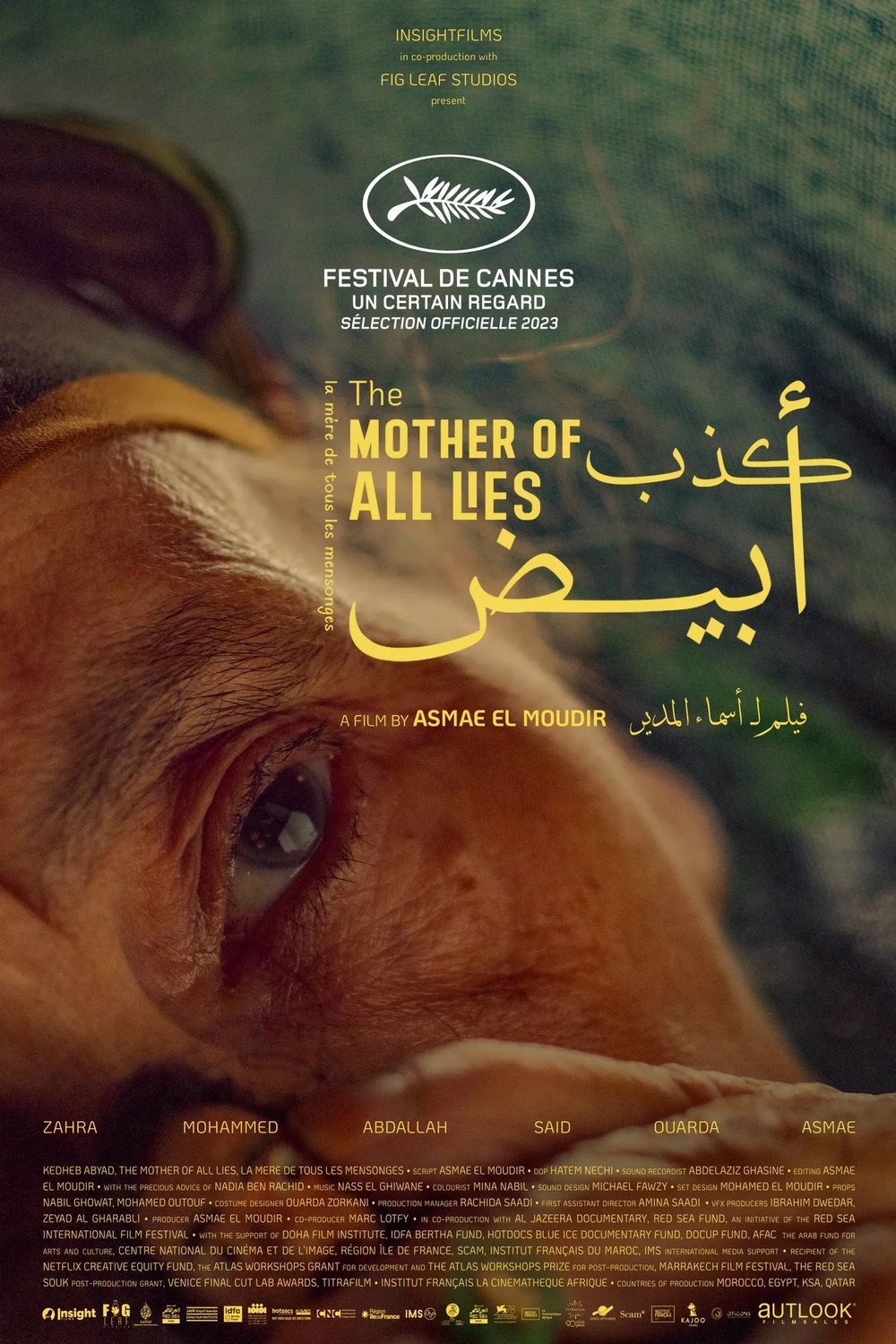 Arabic poster of the movie The Mother of All Lies
