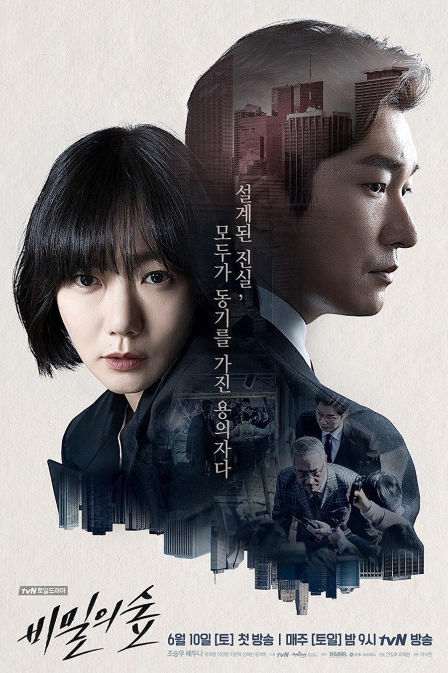 Korean poster of the movie Stranger