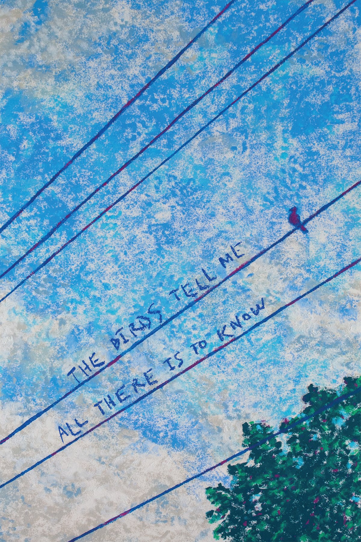 Poster of the movie The Birds Tell Me All There is to Know [2026]
