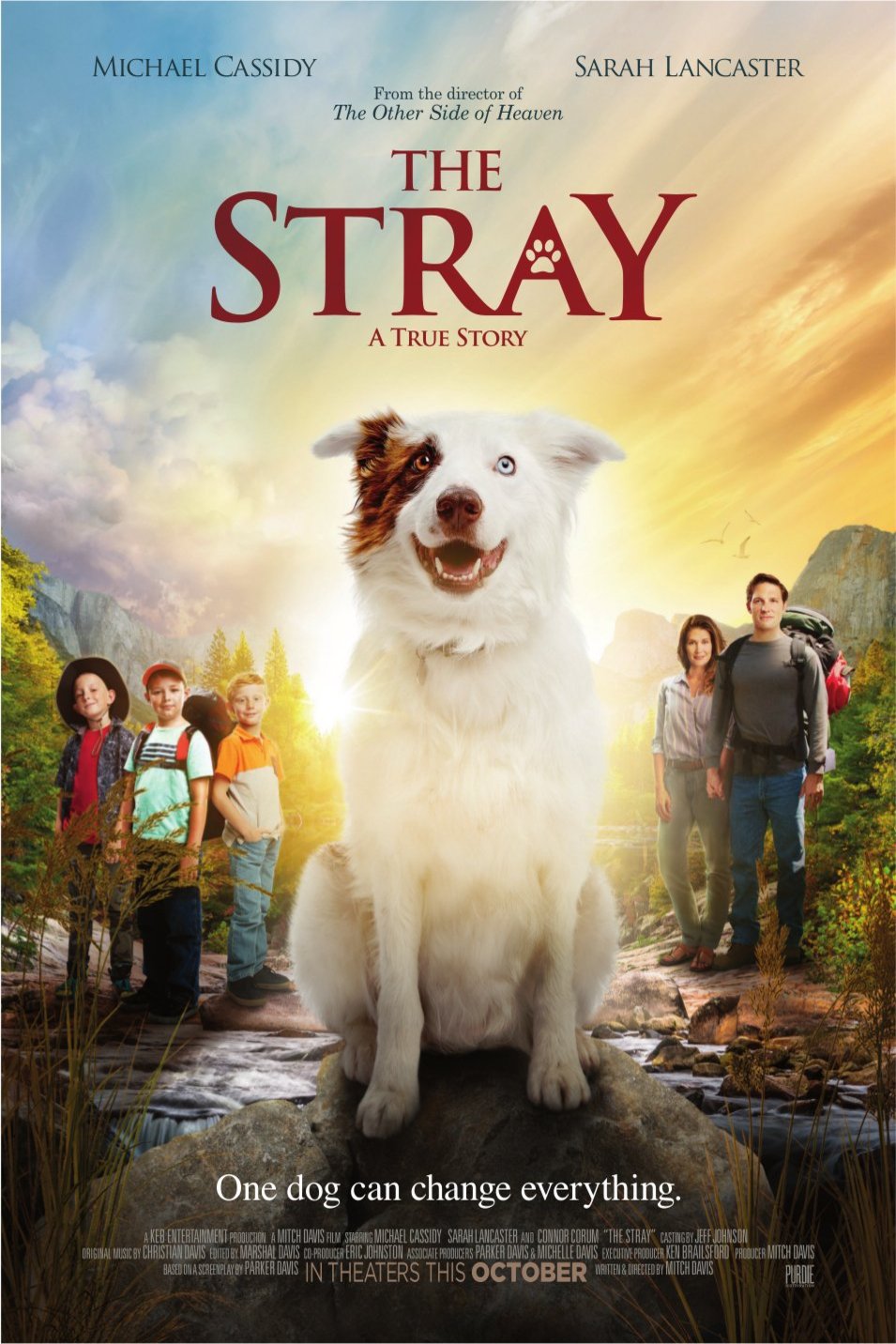 Poster of the movie The Stray [2017]