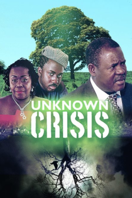 L'affiche du film Unknown Crisis [2022]