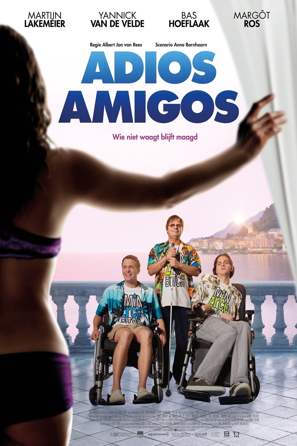 L'affiche du film Adios Amigos [2016]