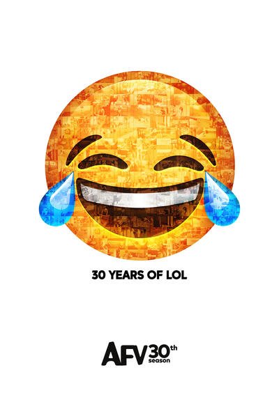 L'affiche du film America's Funniest Home Videos