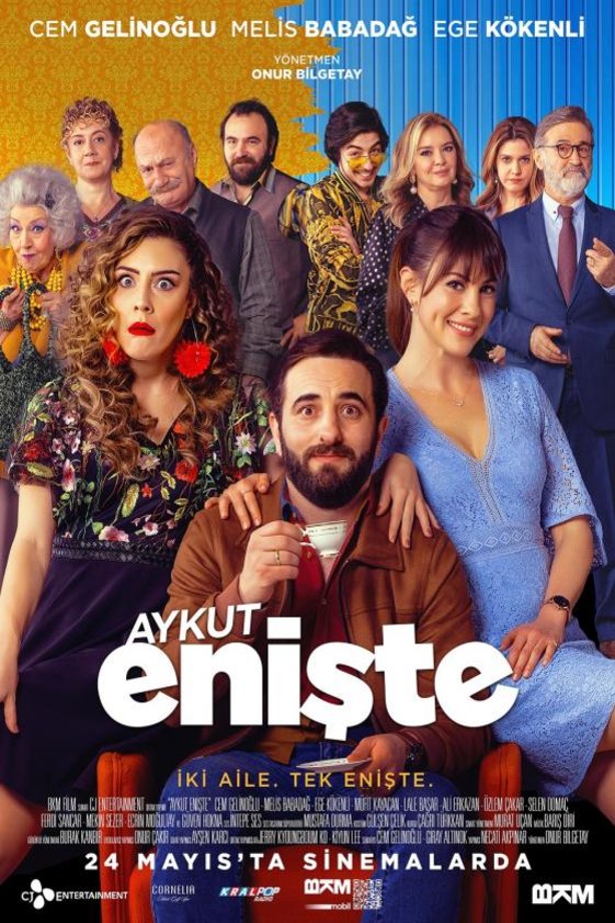 L'affiche originale du film Brother in Love en turc