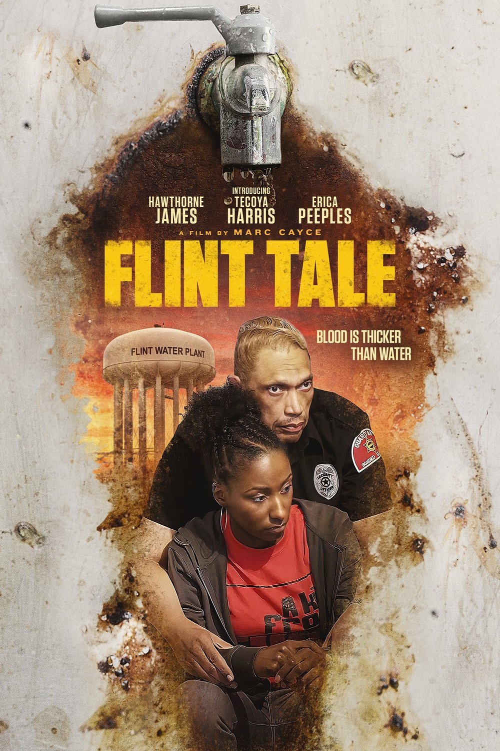 L'affiche du film Flint Tale