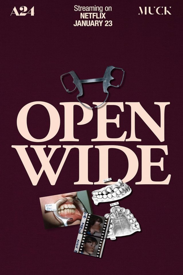 Poster of the movie Open Wide [2024]