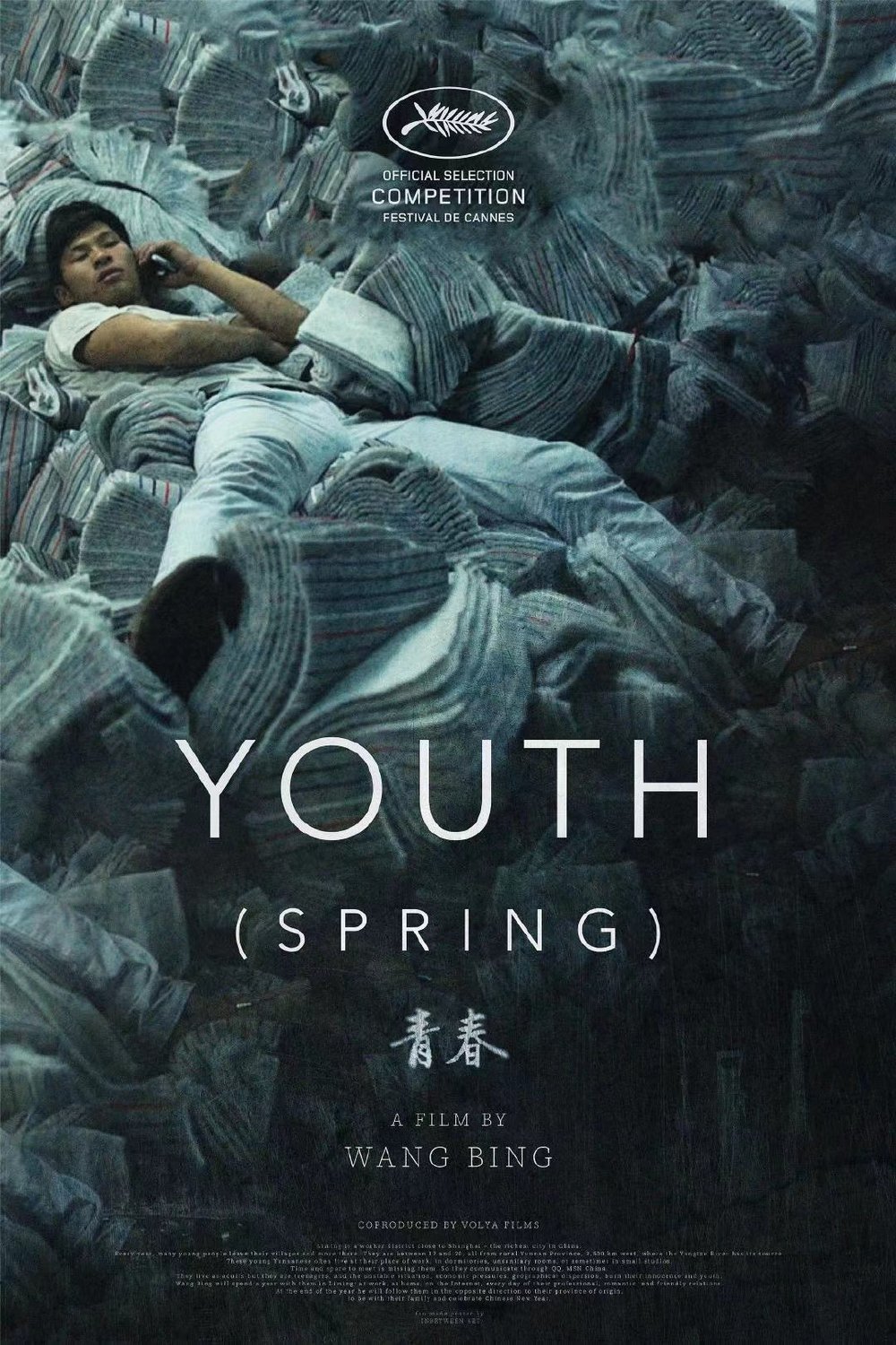 Poster of the movie Youth (Spring) [2023]