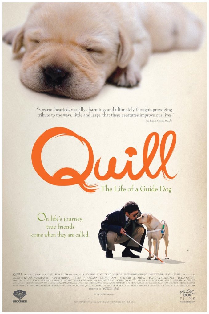 Poster of the movie Quill: The Life of a Guide Dog