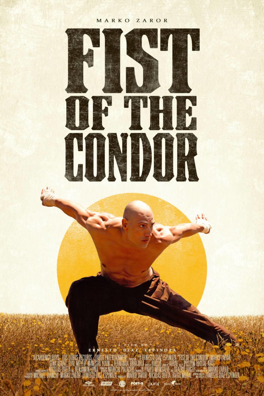 Poster of the movie The Fist of the Condor [2023]