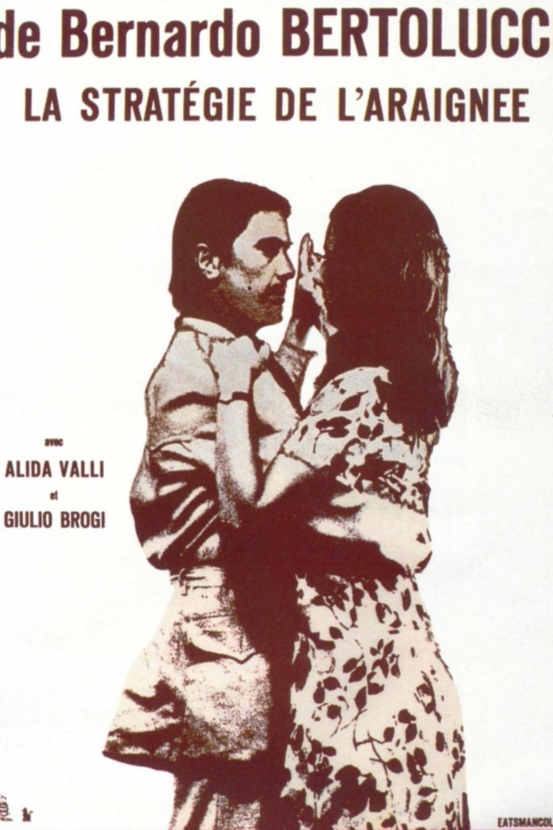 L'affiche du film La Stratégie de l'araignée