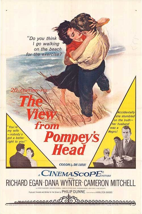L'affiche du film The View from Pompey's Head