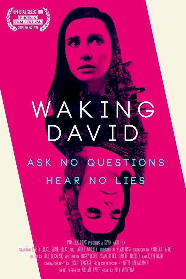 Poster of the movie Waking David [2016]